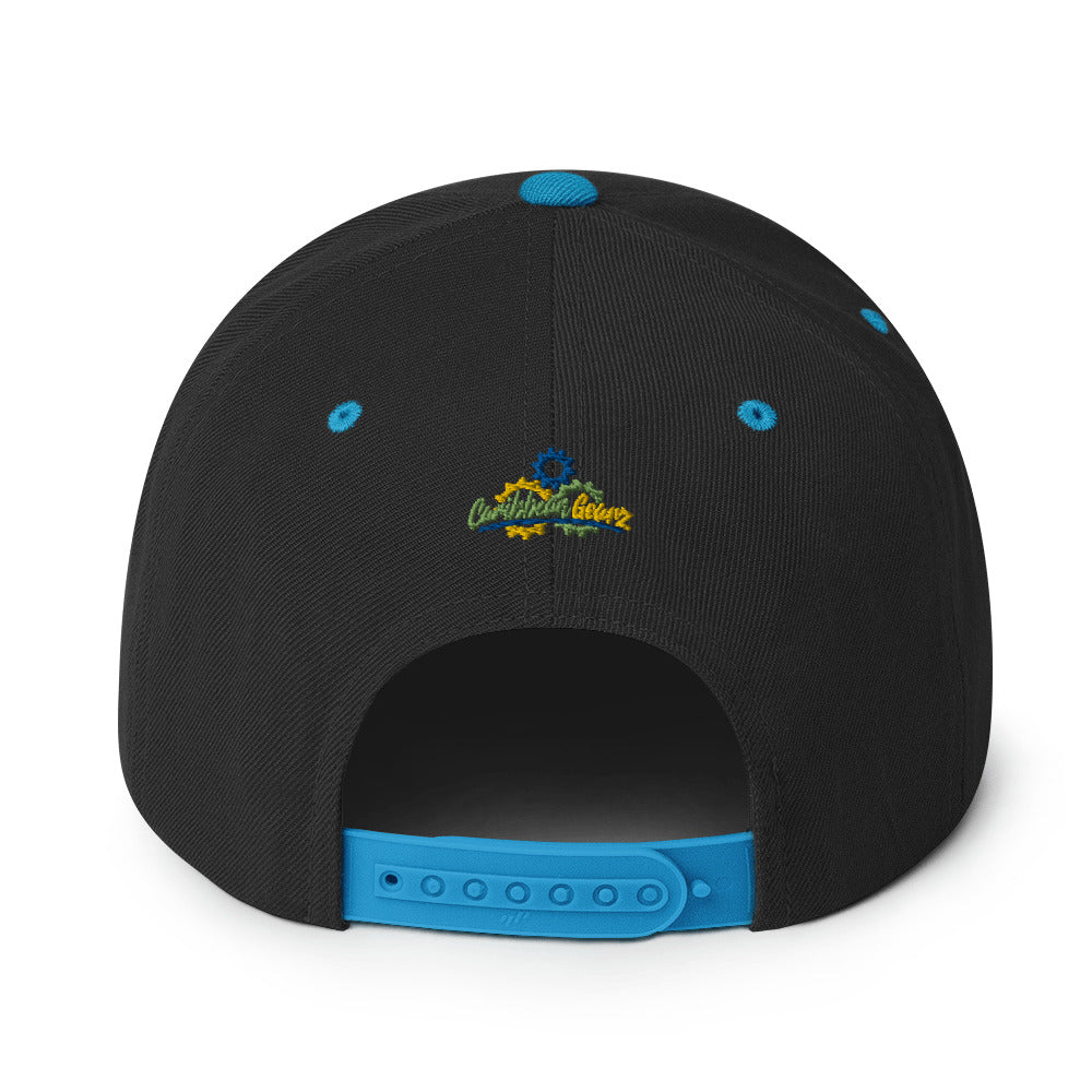 VI Snapback Hat