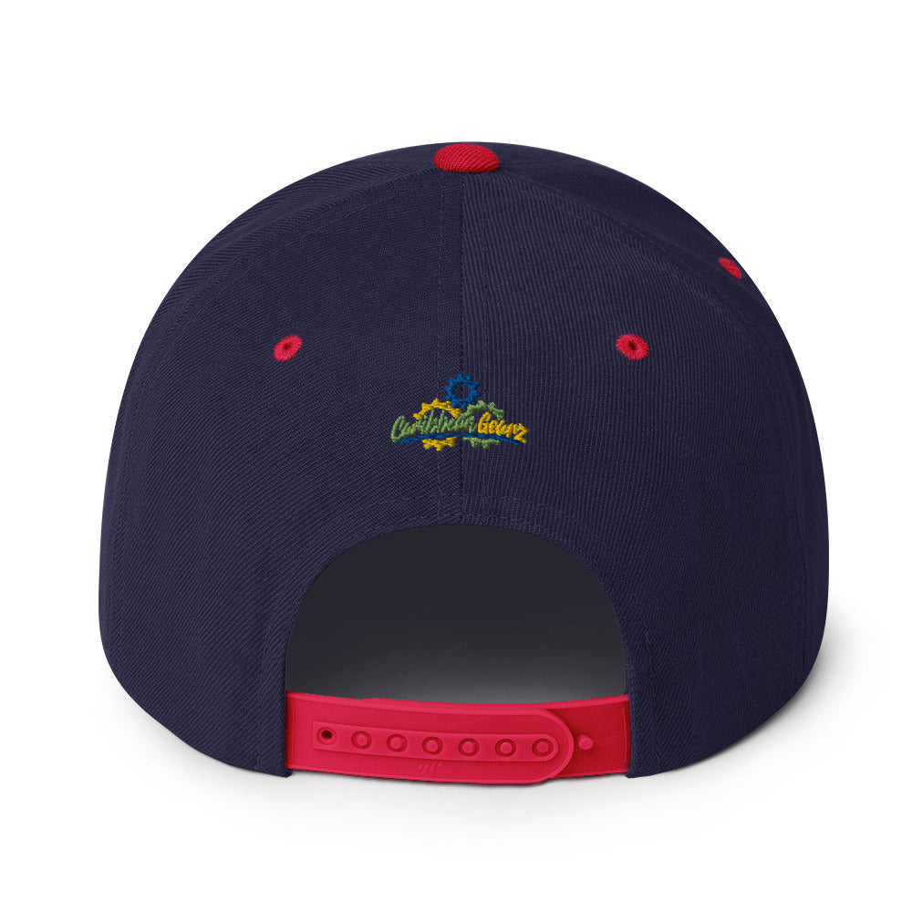 VI Snapback Hat