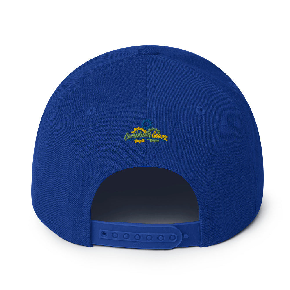 VI Snapback Hat