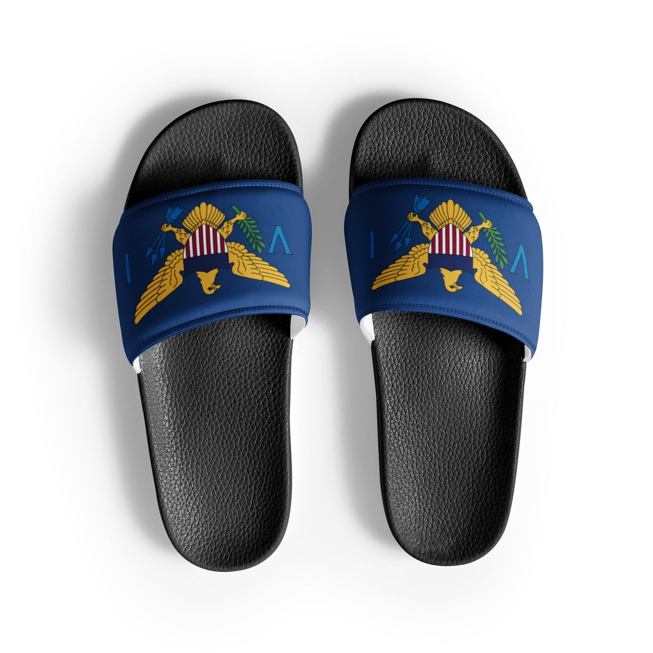 Virgin Islands Flag Men’s slides