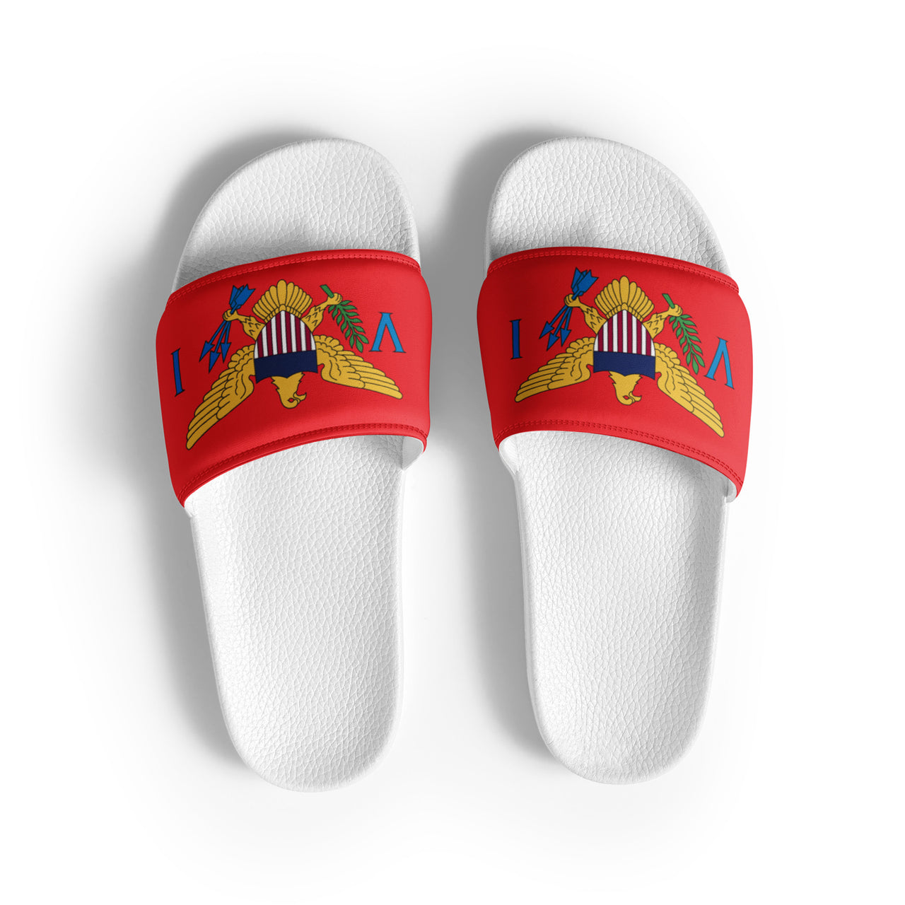 Virgin Islands Flag Men’s slides