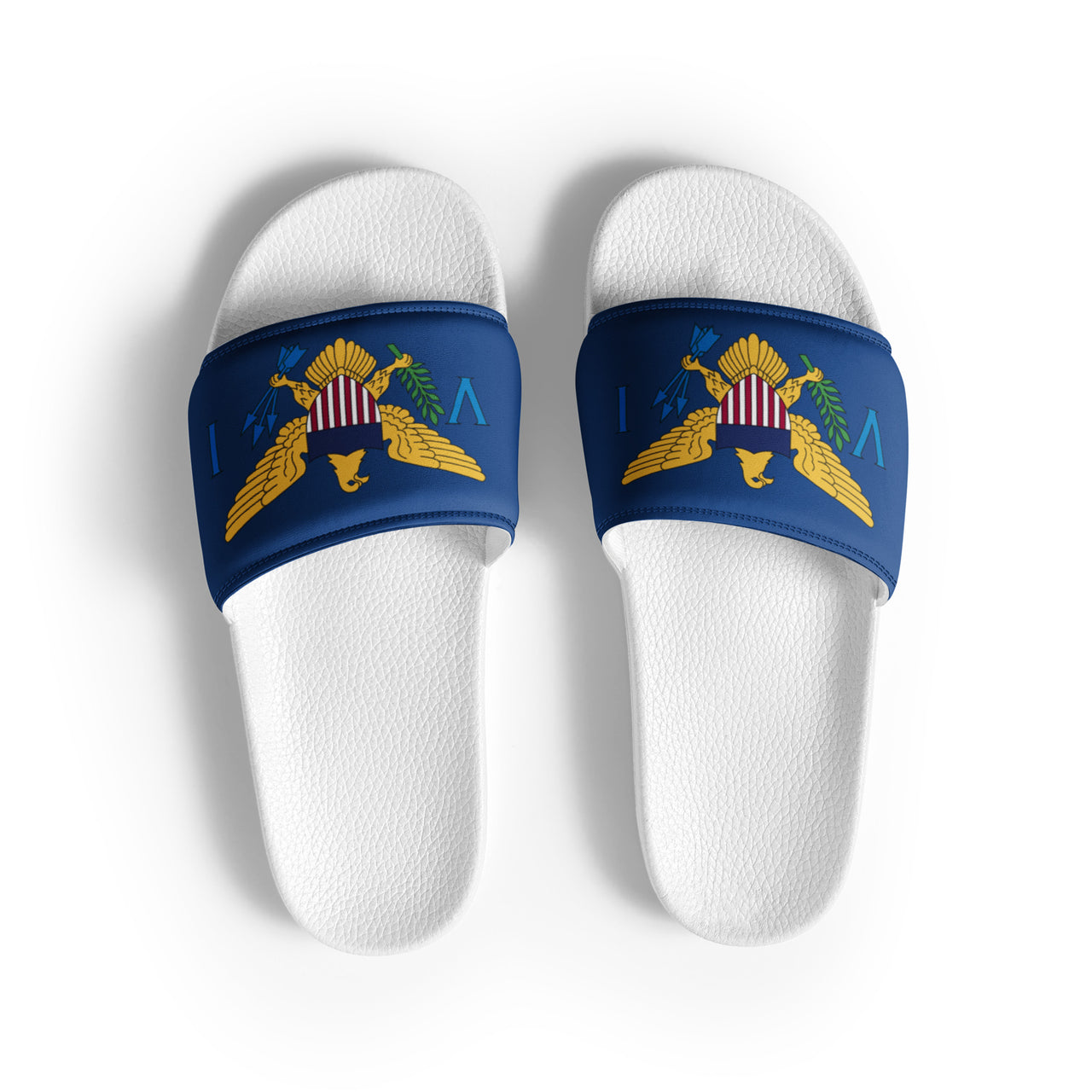 Virgin Islands Flag Men’s slides