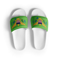 Thumbnail for Virgin Islands Flag Men’s slides