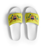 Thumbnail for Virgin Islands Flag Men’s slides